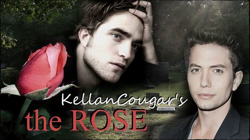 KC - The Rose