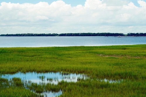 southcarolina mountpleasant cooperriver marsh