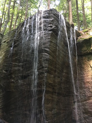 pennsylvania forest national allegheny hectorrunfalls waterfall