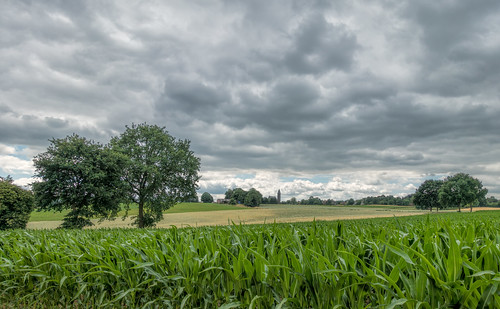 puth church cornfield darkclouds field landscape trees nederlandvandaag summer green
