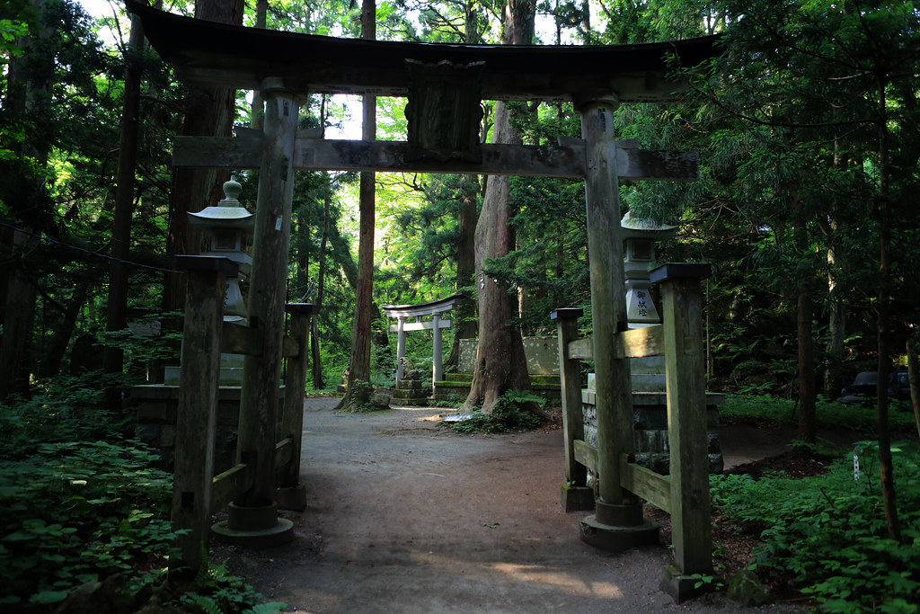 Entrance To Suginami Shrine, Lake Towada