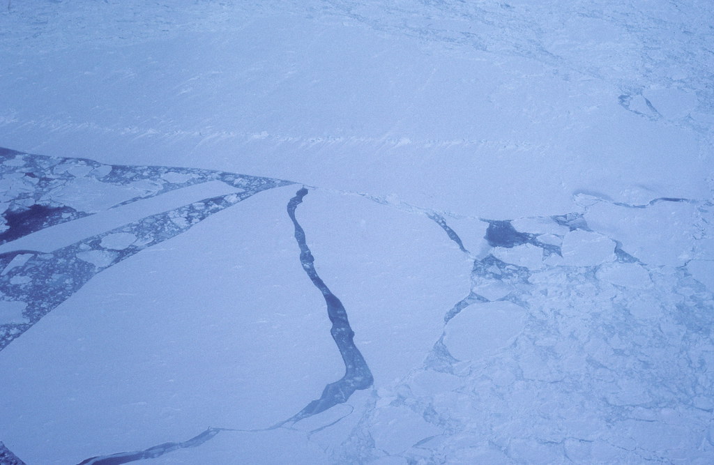 Arctic pack ice in the Gulf of St Lawrence as seen from a  helicopter that we used to go out onto the ice floes.