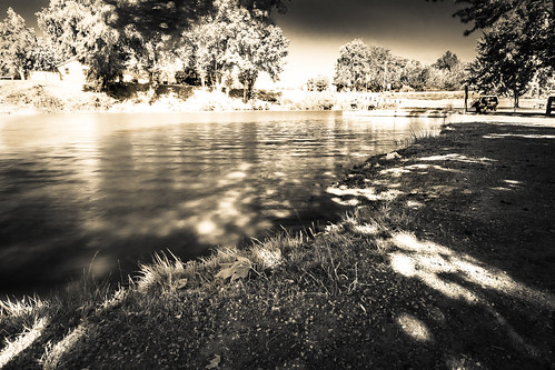 current trees wideangle landscape nopeople beautiful nature water sepia ecology monochrome quiet environment perspective light bright sun summer riverbank attraction stumps river distance sky life outdoors park emotions calm edge space