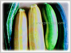 Zucchini (Courgette, Italian Marrow, Summer Squash) in a variety of colours and shapes, 30 July 2017