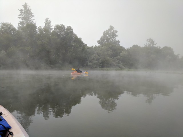 Foggy morning kayaking