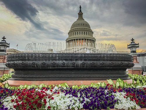 washington districtofcolumbia unitedstates us capitol building sunset dc with water fountain usa america washingtondc government waterfountain