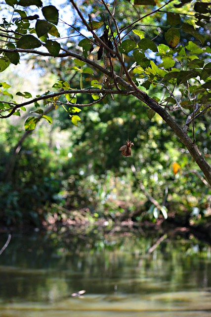 Metropolitan Natural Park Panama Tanvii.com