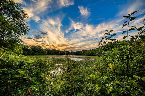 canon 5ds 5dsr 14mm rokinon minnetonka minnesota wing lake green plants nature landscape hdr sunset red yellow clouds water lilypad blue sky leaves