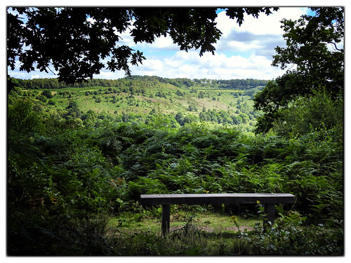 waverleydistrict england unitedkingdom gb devilspunchbowl hindhead landscape view bench
