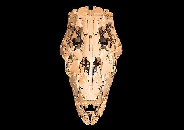 Tyrannosaurus Rex Skull [1:2]