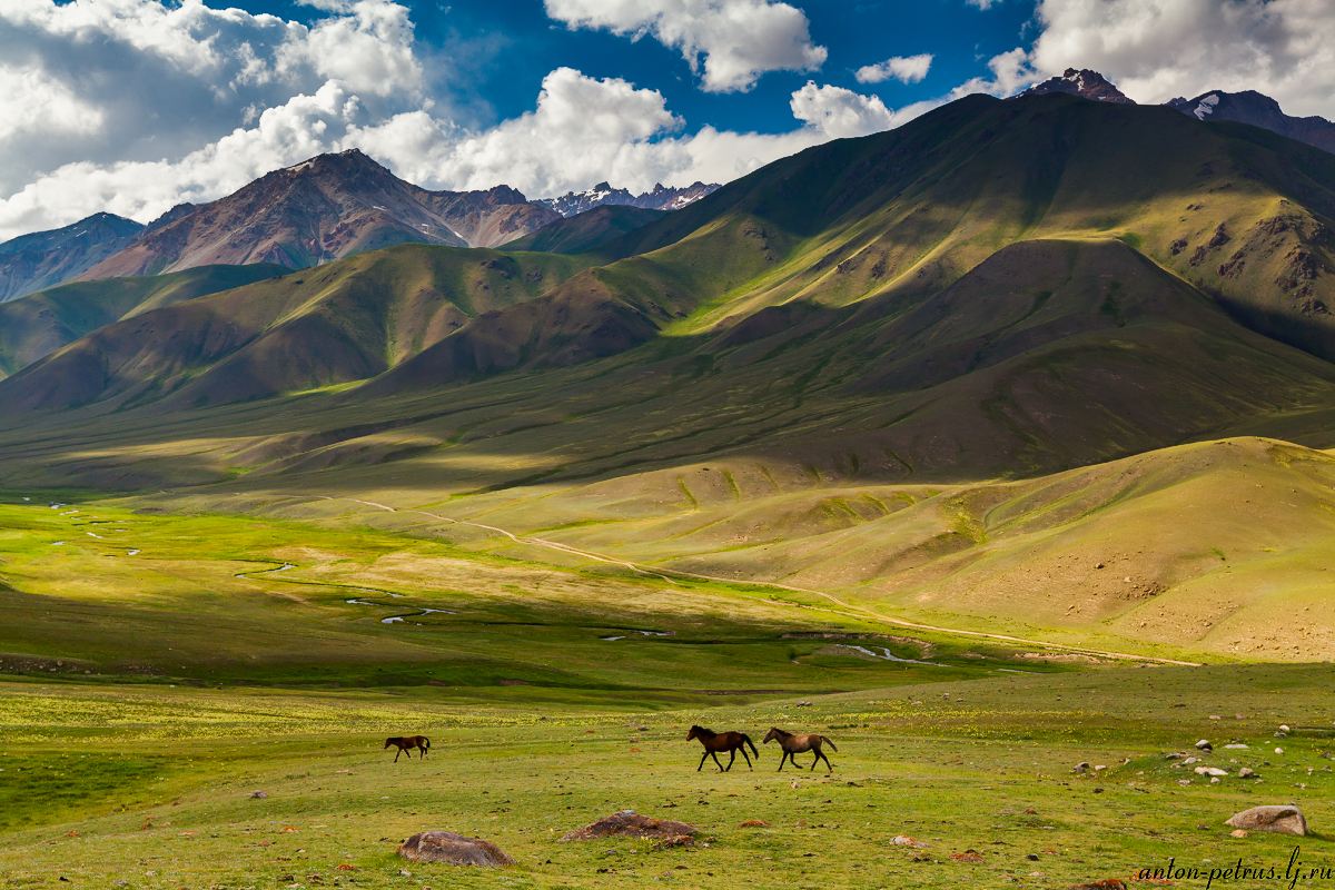 Зеленая Киргизия