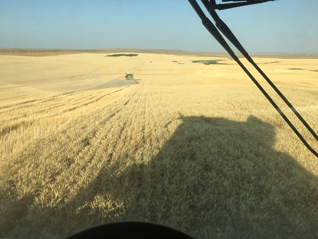 High Plains Harvesting 2017 (Odendaal)