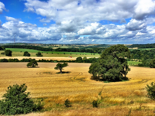 landscape iphone yorkshire paysage sky clouds wheat trees nature july summer outdoor color colour harvest tractor emleymoormast iphone6 iphoneology field