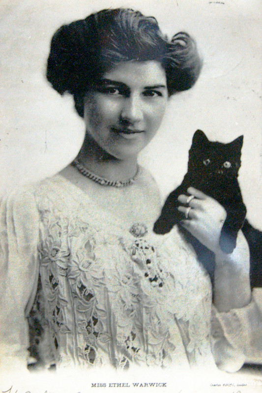 Старые открытки с девушками и котами