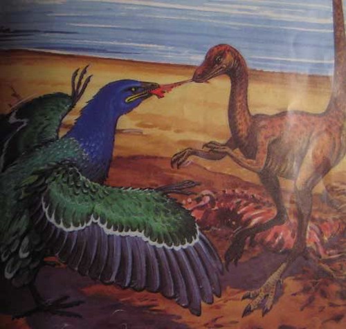Rourke Prehistoric Animal Books: Archaeopteryx