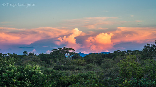 amazon amazonia roraima afternoon ceu cloud crepusculo dusk fimdetarde floresta nuvens pordosol rio riocauame river sky sol sumauma sun sunset