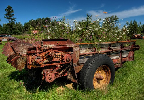 wisconsin outdoors rusty manurespreader washburn bayfieldcounty farmmachinery farming flowers wildflowers geotagged northwoods northernwisconsin digital canon canoneos hdr tonemapping photomatix midwest america northamerica usa summer farm rural country countryside washburnwisconsin agriculture