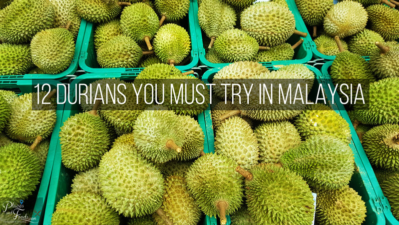 12 Durians You Must Try in Malaysia
