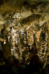 Grotte des Demoiselles - Photo of Roquedur
