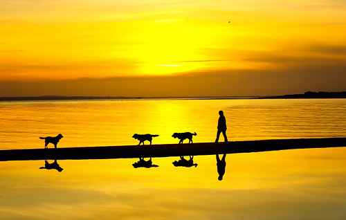 west witterings pentax sunset sunrise seascape silhouette reflections dogs k3 ii 1685mm