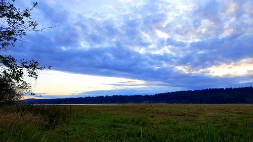 thelerwetlands belfair washington wetland saltwatermarsh galaxys6 cloudsstormssunsetssunrises sunset