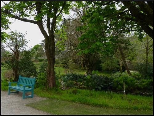 Irlanda en Semana Santa - Blogs de Irlanda - Abadía de Kylemore y Parque Nacional de Connemara. (6)