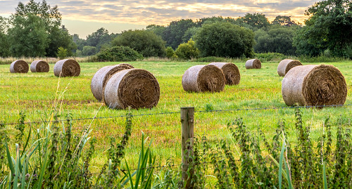 hay field barbedwire rural ringwood landscape