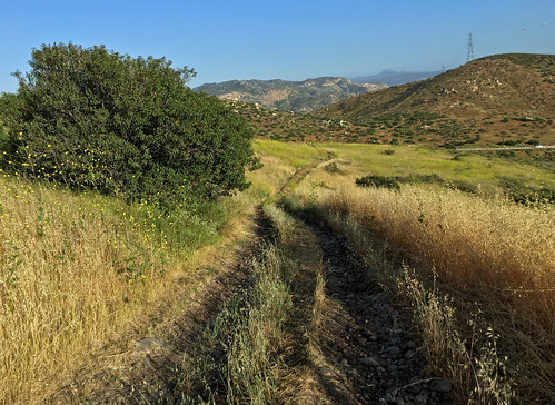 california grass grassland sandiego usa chaparral america nature field road landscape composition