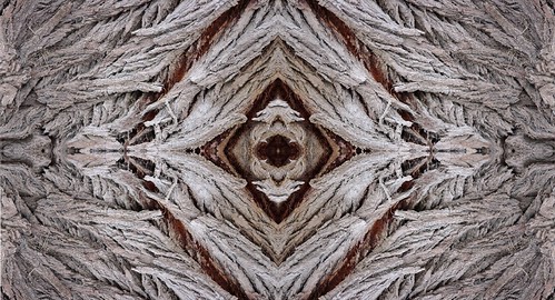abstract mandalas fractals kaleidos macro naturaleza texture textura