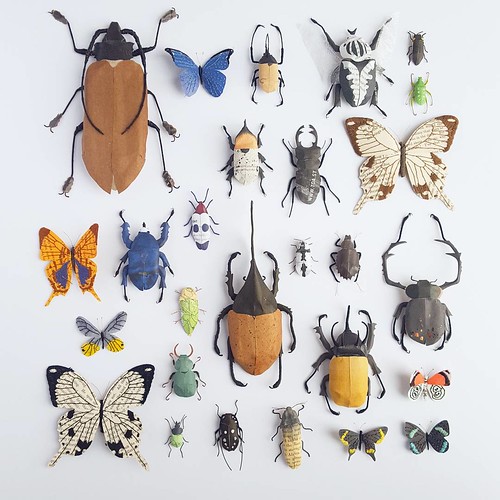 Paper Sculpture Insect Collection by Kate Kato
