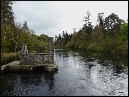 Irlanda en Semana Santa - Blogs de Irlanda - Abadía de Kylemore y Parque Nacional de Connemara. (21)