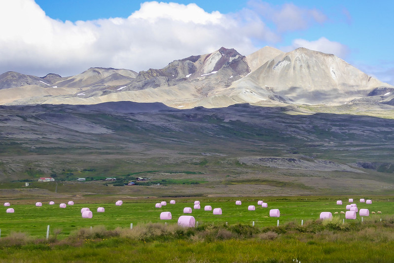 Día 1: Primeras impresiones - Islandia o como viajar al planeta del hielo y el fuego (4)