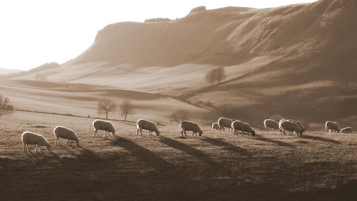 ericrobbniven scotland sepia sheep landscape wildlife hills cycling autumn