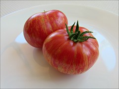 Red zebra tomatoes