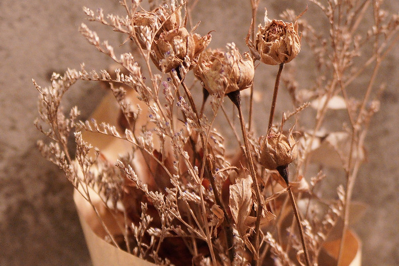 Dried flower_Crop
