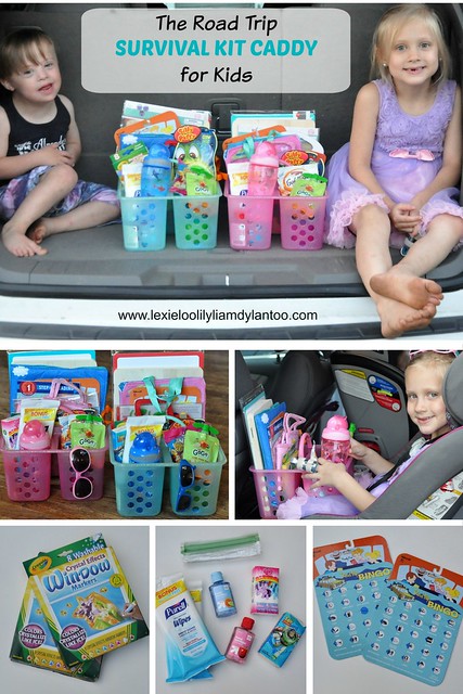 The Road Trip Survival Kit Caddy for Kids