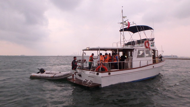 TeamSeagrass about to land on Cyrene Reef
