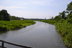 Farm River from SLTM Car 850