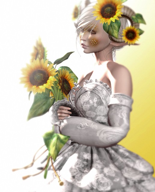 Sunflowers in Sunlight