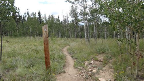 chfstew colorado coloradotrail segment5 hiking trail landscape trailsign