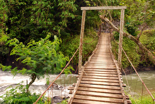 gunungsimpang forests bridge river westjava naturalresources watershedprotection watershedmanagement indonesia cifor horizontal rainforests kabupatencianjur jawabarat id
