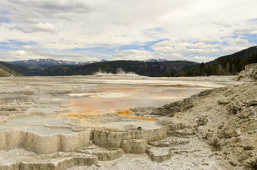 yellowstone national park us usa west western landscape color colorful wyoming sightseeing tour tourist mammoth hot springs upper terrace geyser texture