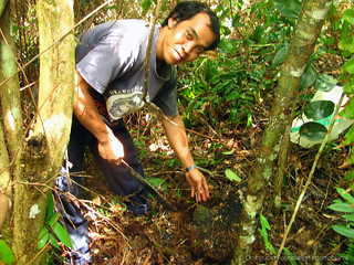 Orangutan Foundation International Employee Spotlight Pak Santo Sun Bears