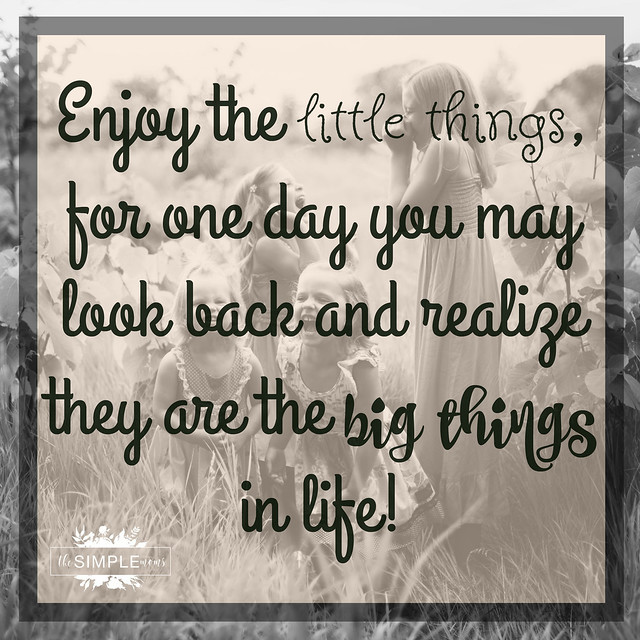 Enjoy the Little Things quote