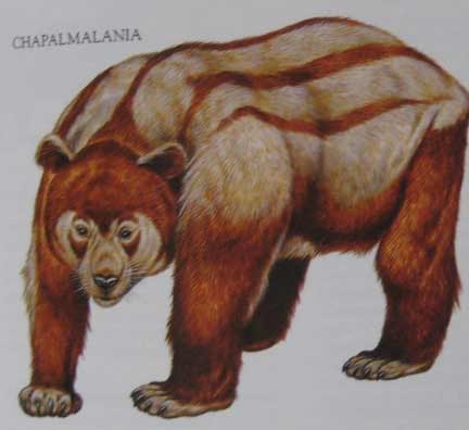The Macmillan Illustrated Encyclopedia of DINOSAURS and Prehistoric Animals