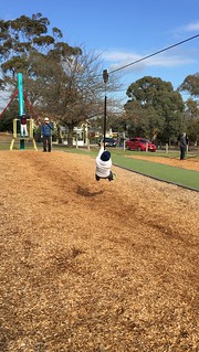 Melbourne Playgrounds - Macleay park