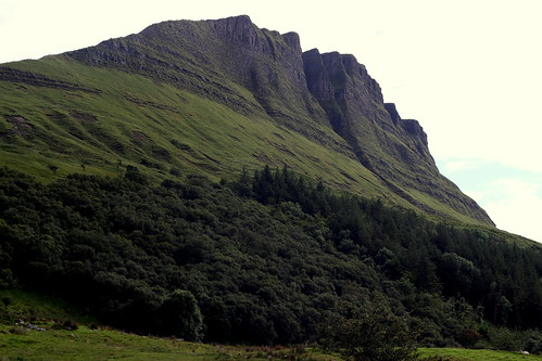 benwiskin mountain dartrymountains cliff woods trees ireland scenic landscape green sheep