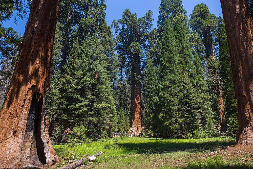 Kings Canyon and Sequoia National Park