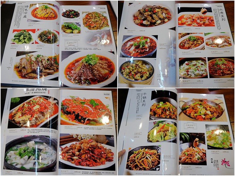 Sichuan Cuisine (6)
