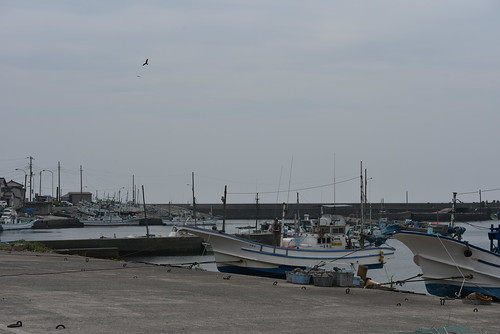 漁港